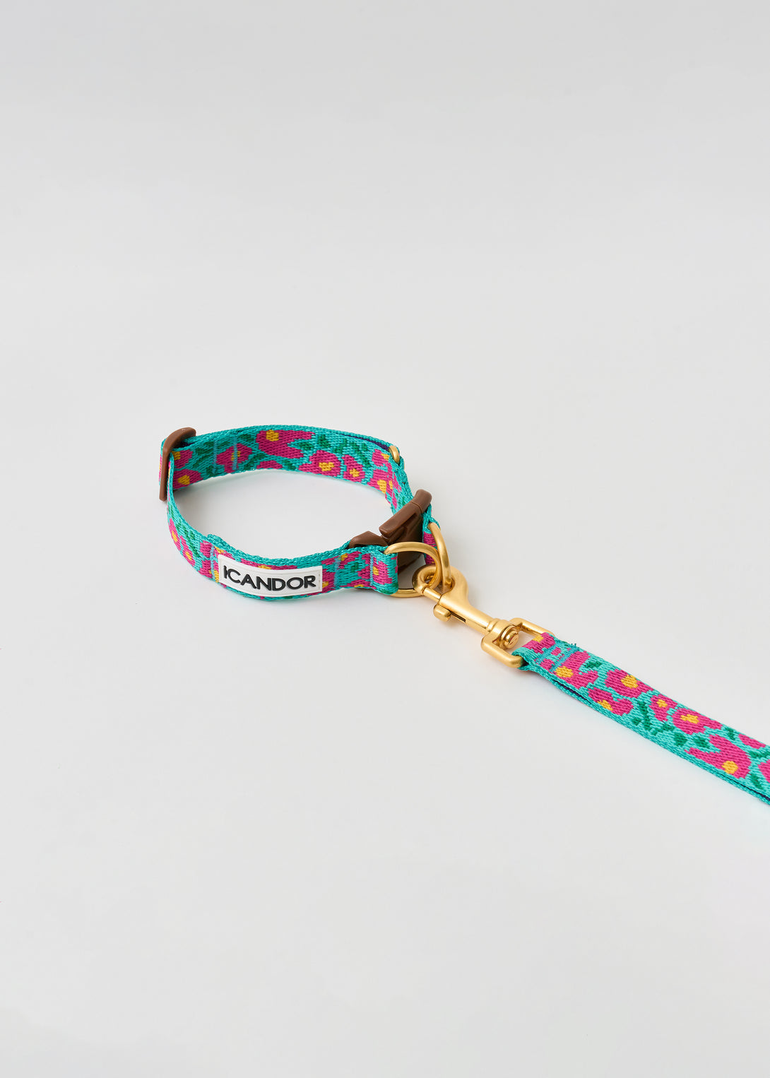 Gentle Dog Collar - Big Fish Mint - 2&4 PETS