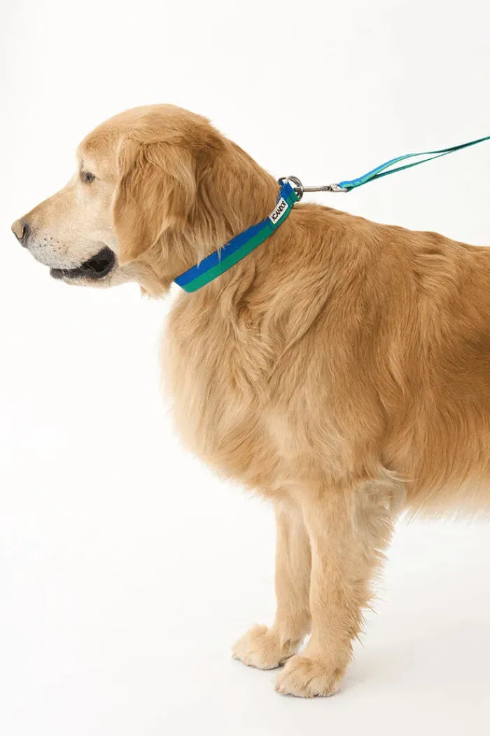 Gentle Dog Collar - Forest - 2&4 PETS