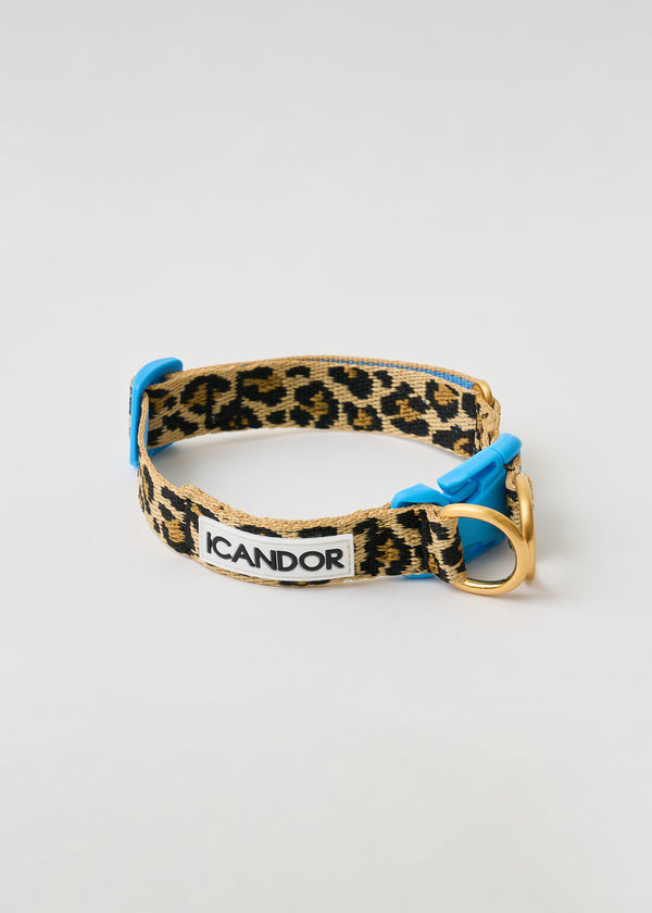Gentle Dog Collar - Leopard - 2&4 PETS