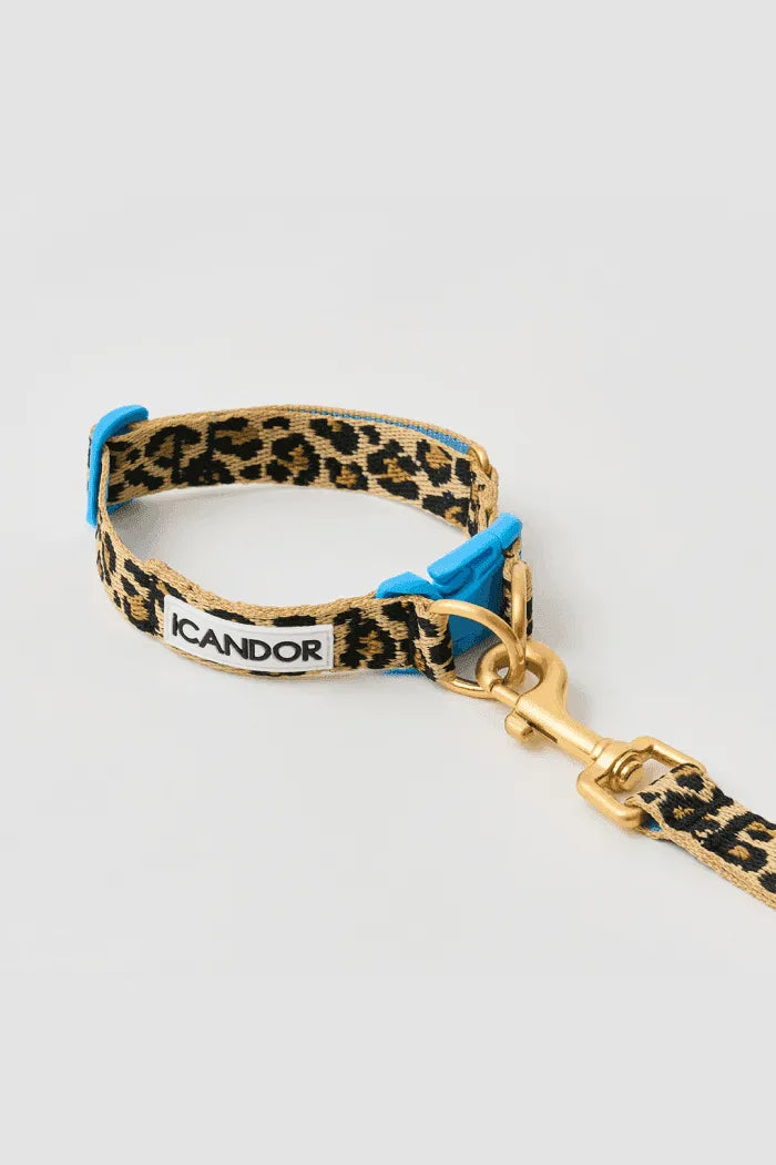 Gentle Dog Collar - Leopard