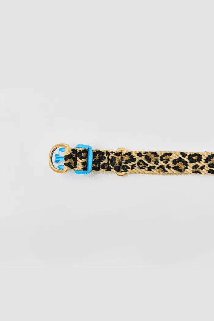 Gentle Dog Collar - Leopard