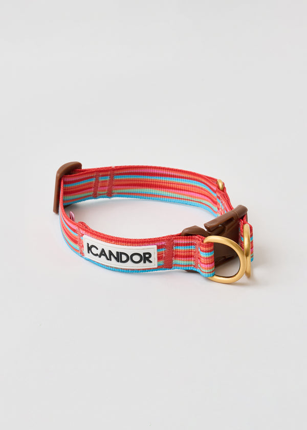 Gentle Dog Collar - Lollipop - 2&4 PETS