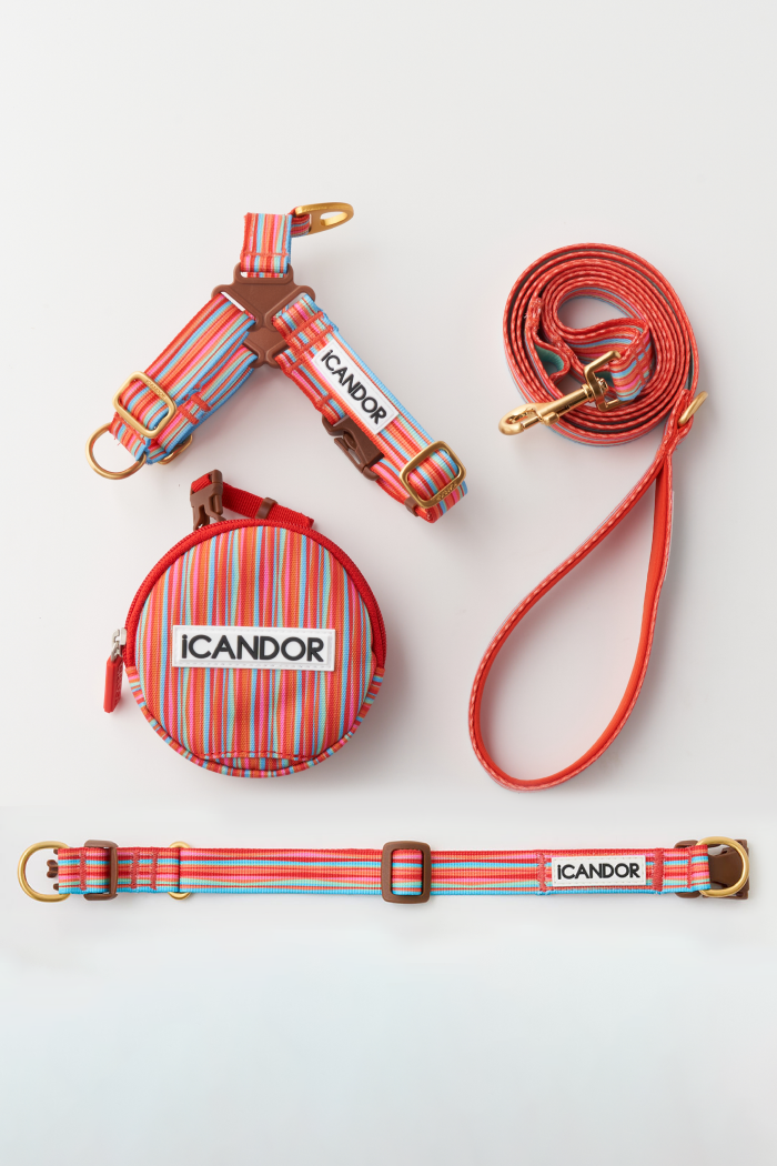 Gentle Dog Collar - Lollipop - 2&4 PETS