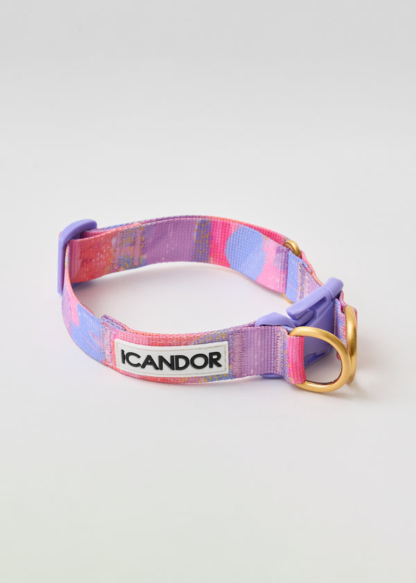 Gentle Dog Collar - Milky Way - 2&4 PETS