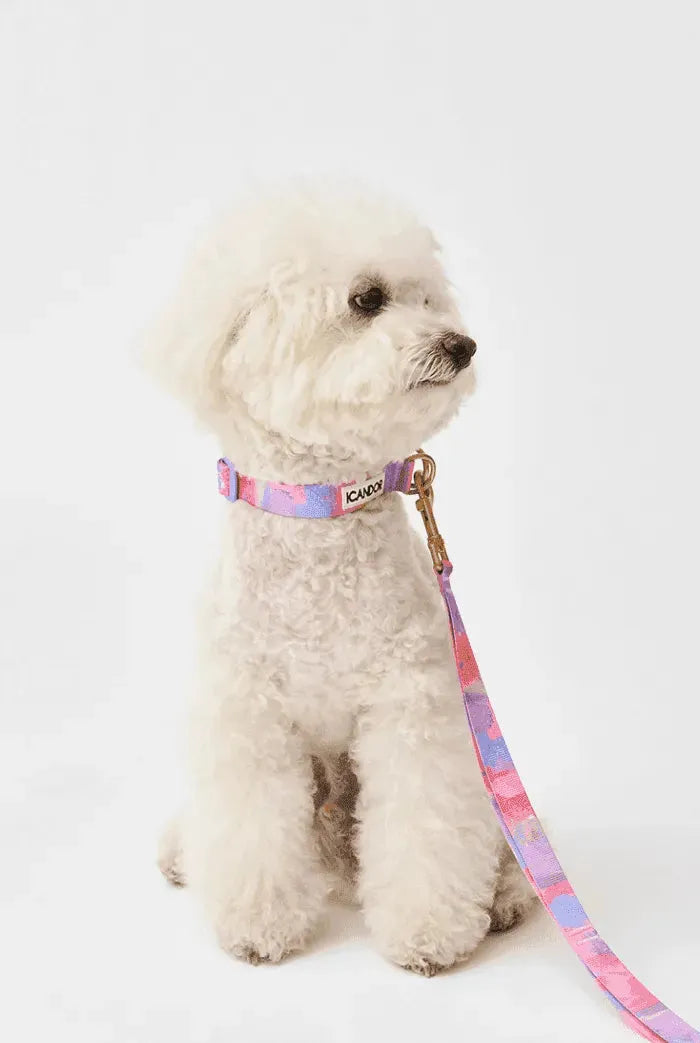 Gentle Dog Collar - Milky Way - 2&4 PETS