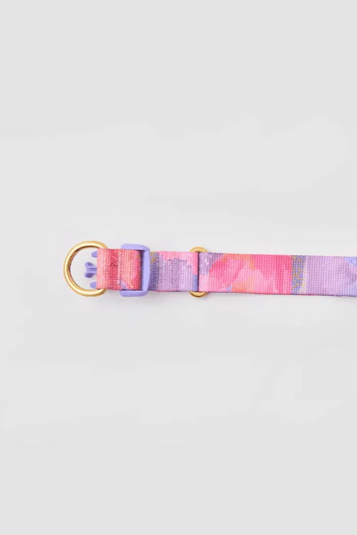 Gentle Dog Collar - Milky Way