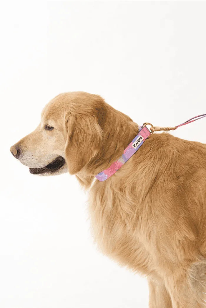 Gentle Dog Collar - Milky Way