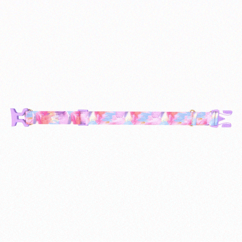 Gentle Dog Collar - Milky Way - 2&4 PETS