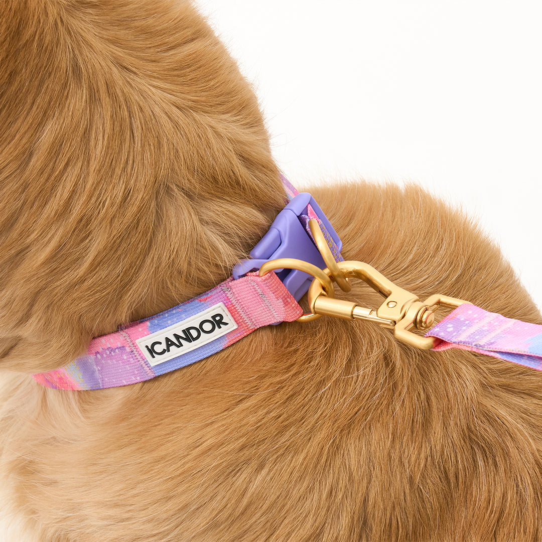 Gentle Dog Collar - Milky Way - 2&4 PETS