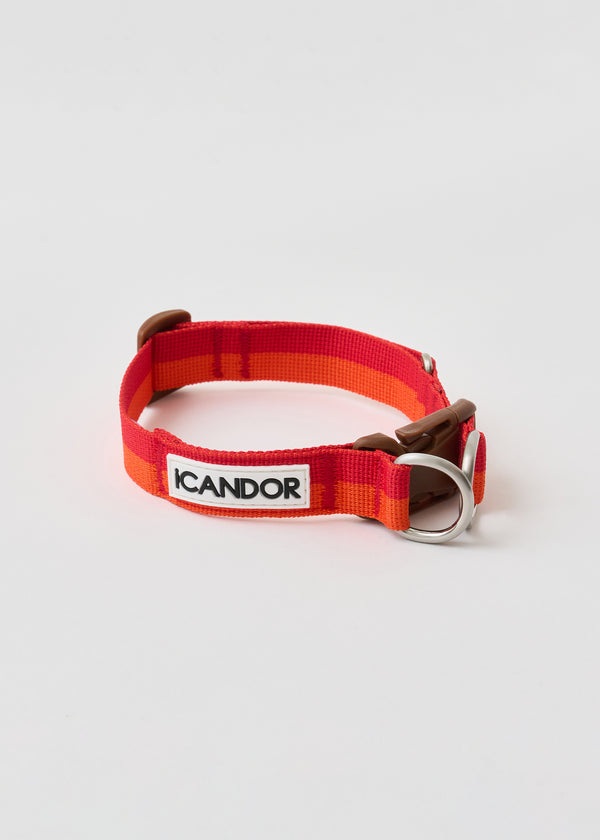 Gentle Dog Collar - Sunset - 2&4 PETS