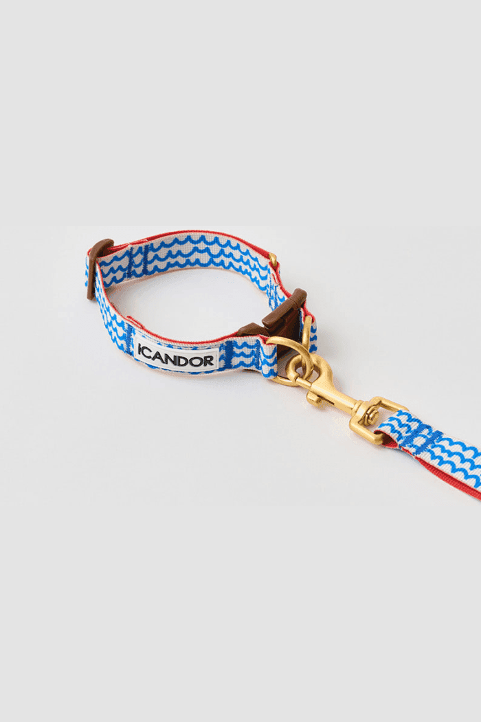 Gentle Dog Collar - Surfrider