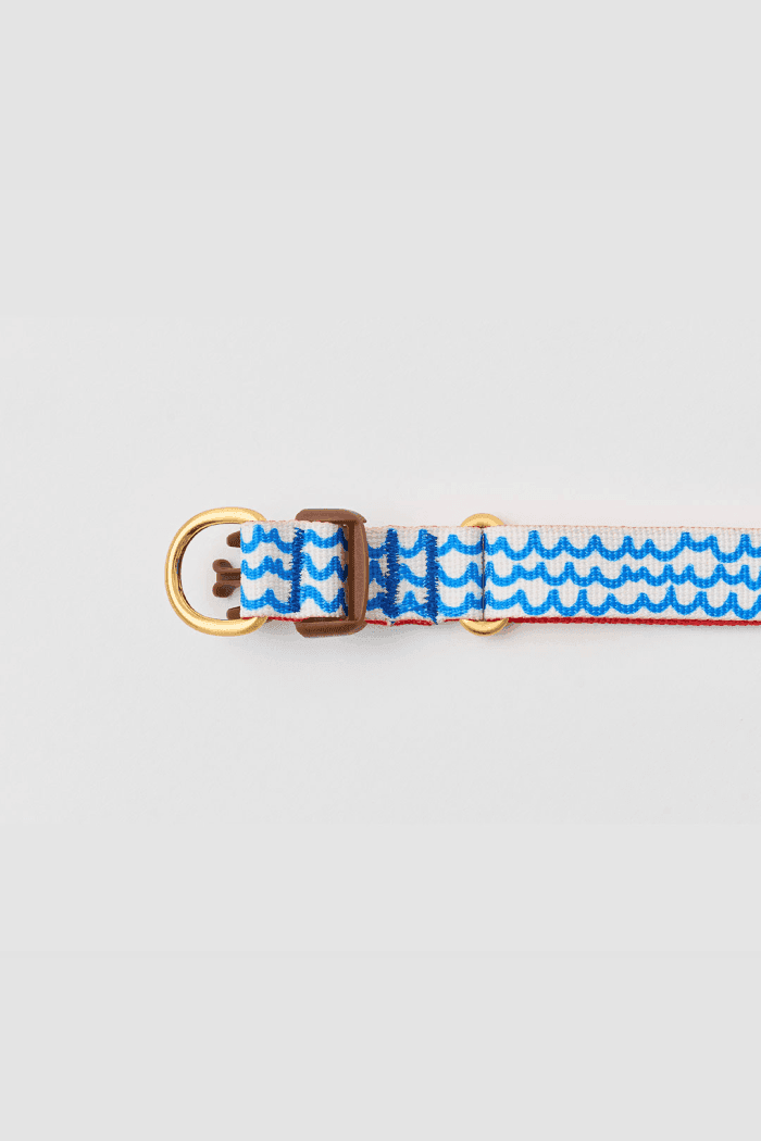 Gentle Dog Collar - Surfrider