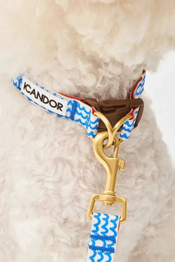 Gentle Dog Collar - Surfrider - 2&4 PETS