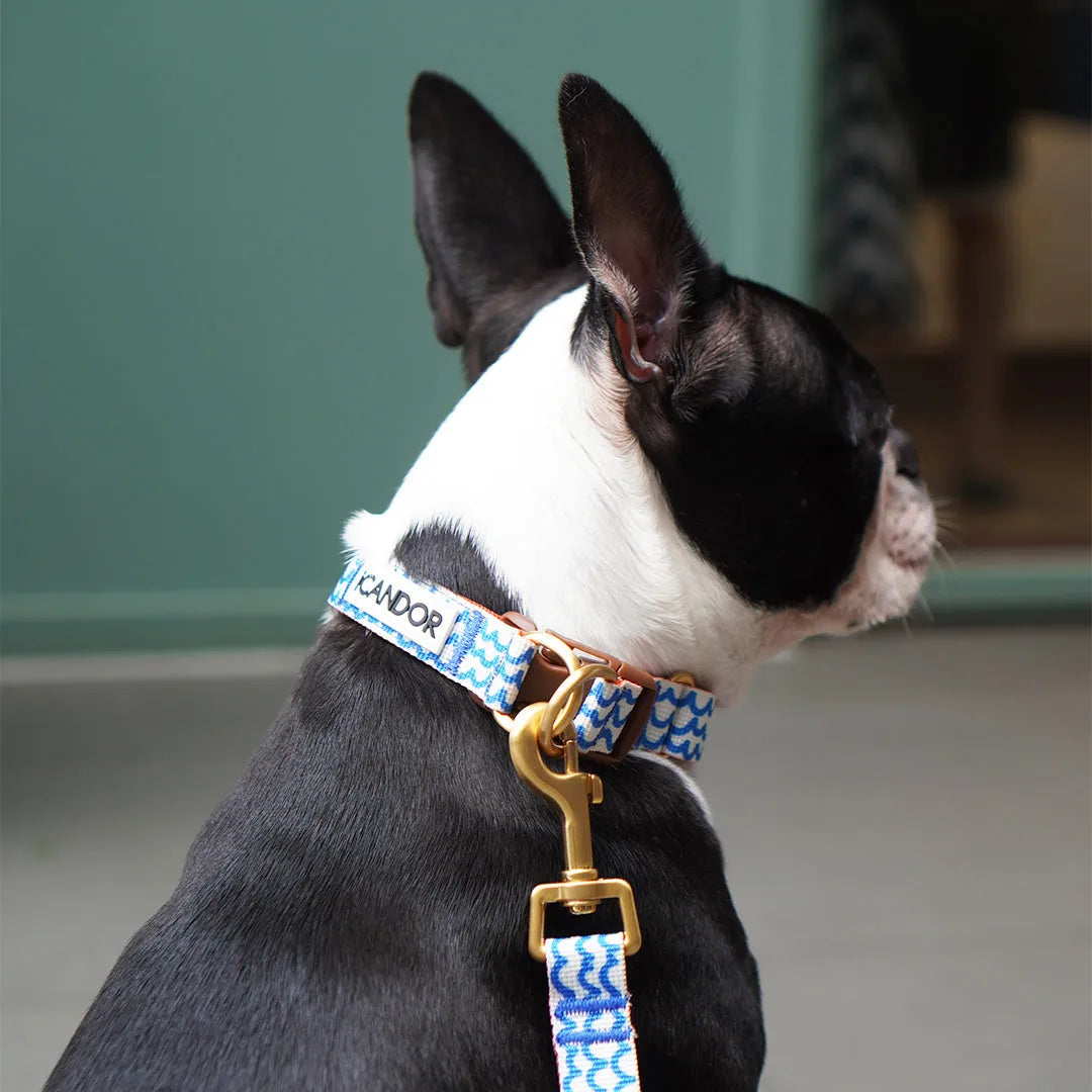 Gentle Dog Collar - Surfrider - 2&4 PETS