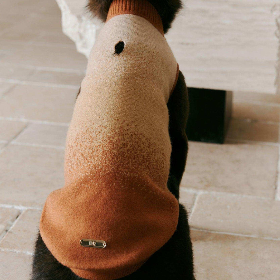 Gradient Knitted Dog Sweater - 2&4 PETS