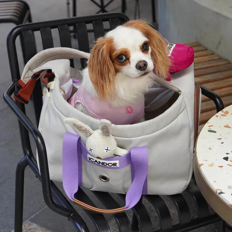 Cavalier King Charles Spaniel in pink harness inside ICANDOR pet carrier bag, perfect for stylish pet travel.
