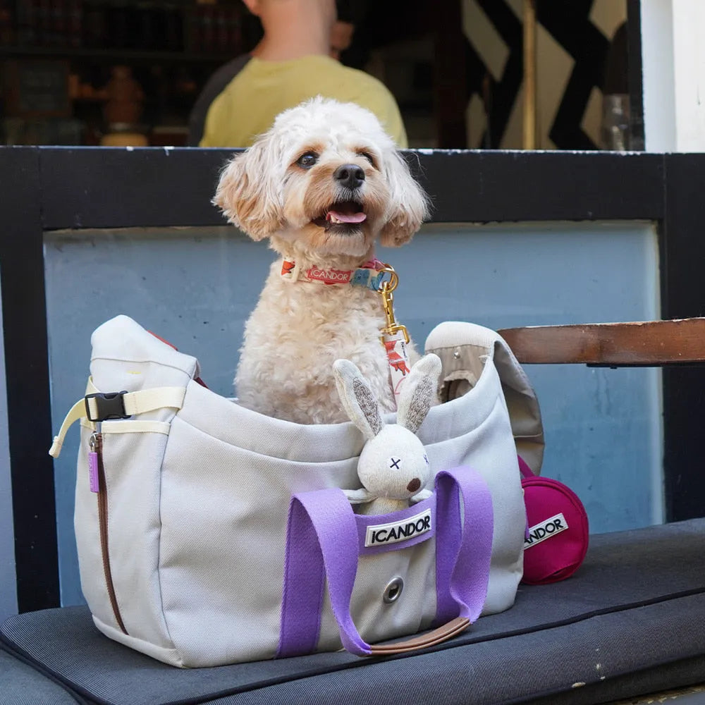 iCandor Peek-a-boo Pet Carrier Bag - Plum Grey