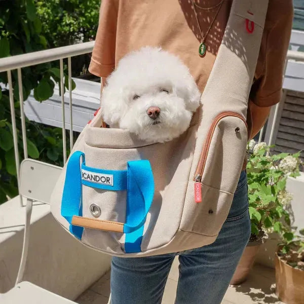 Adorable white dog in stylish beige and blue pet carrier bag, perfect for travel and daily walks.