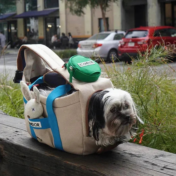 Small dog in stylish canvas carrier with blue straps, green pouch, and bunny toy, perfect for pet travel and urban adventures.