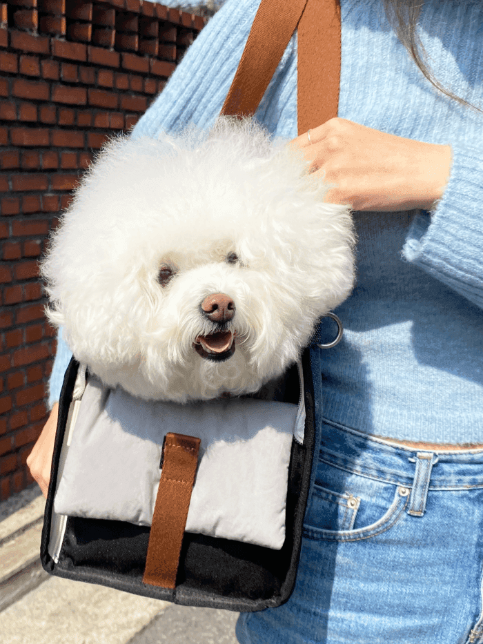 iCandor - iBag Pet Carrier - Sassy Cream (2 Sizes)