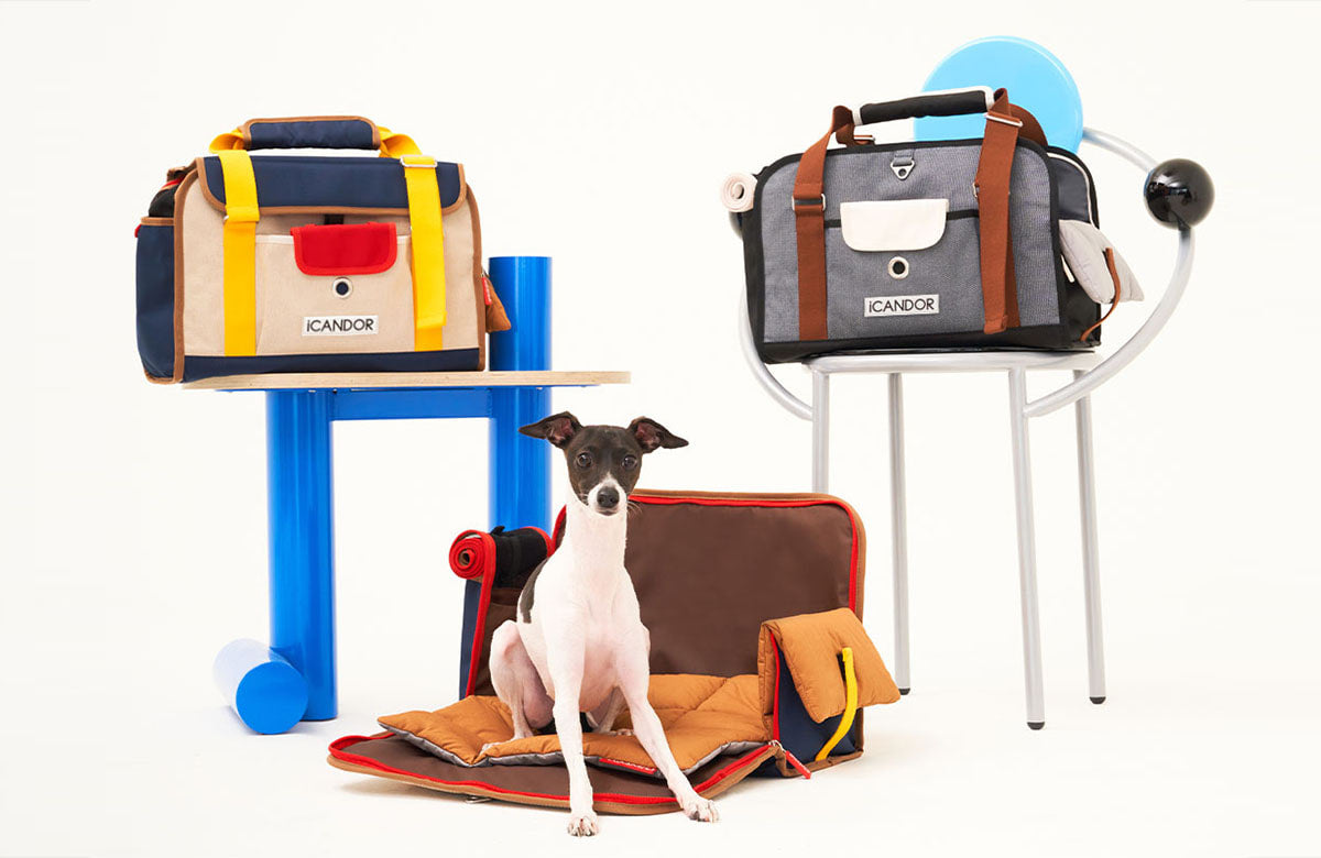 Learn more about - iCandor – 2&4 PETS