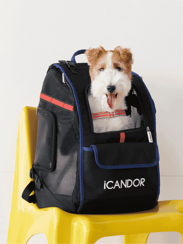 JIGE Bag | Pet Travel Backpack - Black