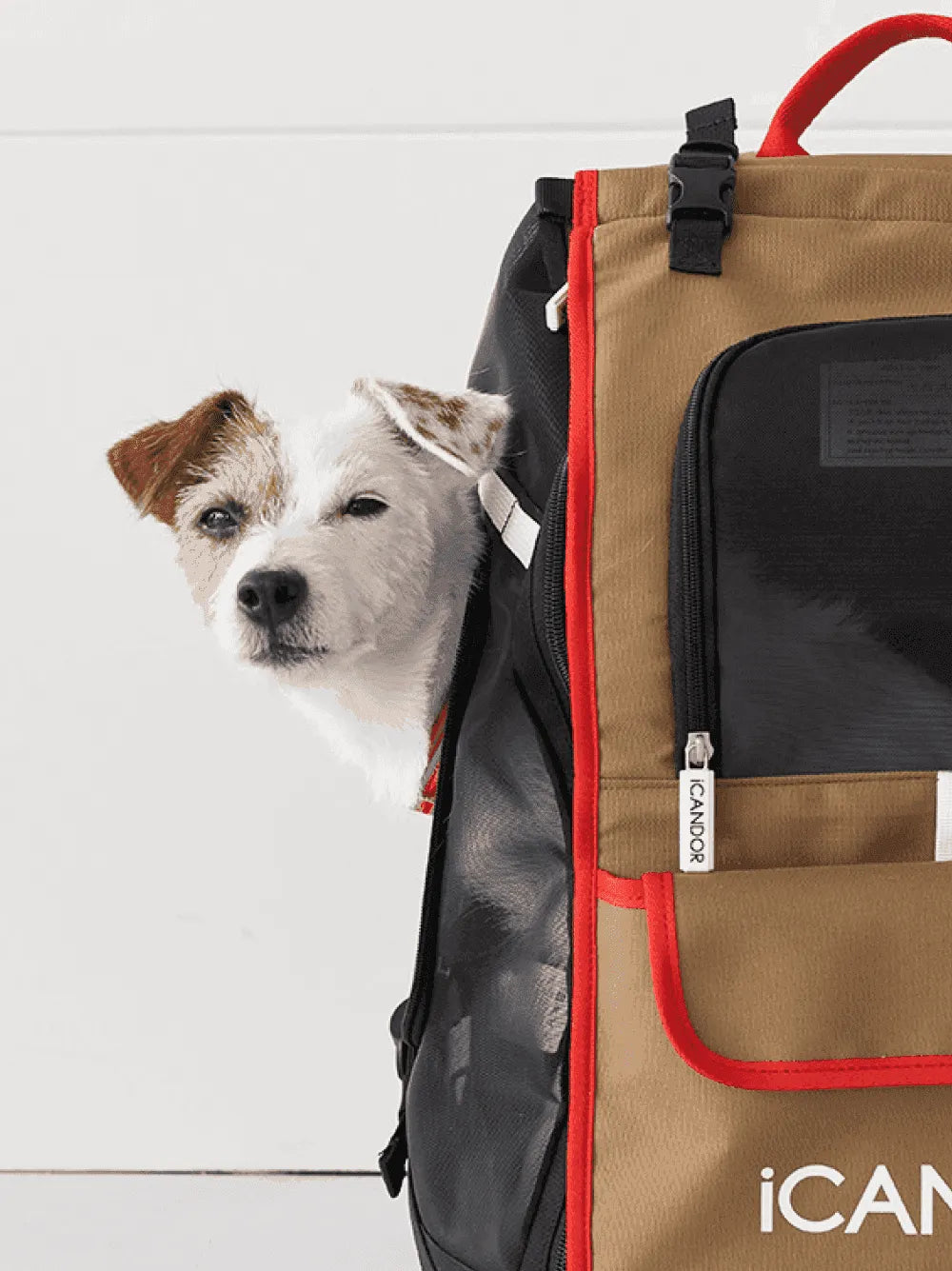 JIGE Bag | Pet Travel Backpack