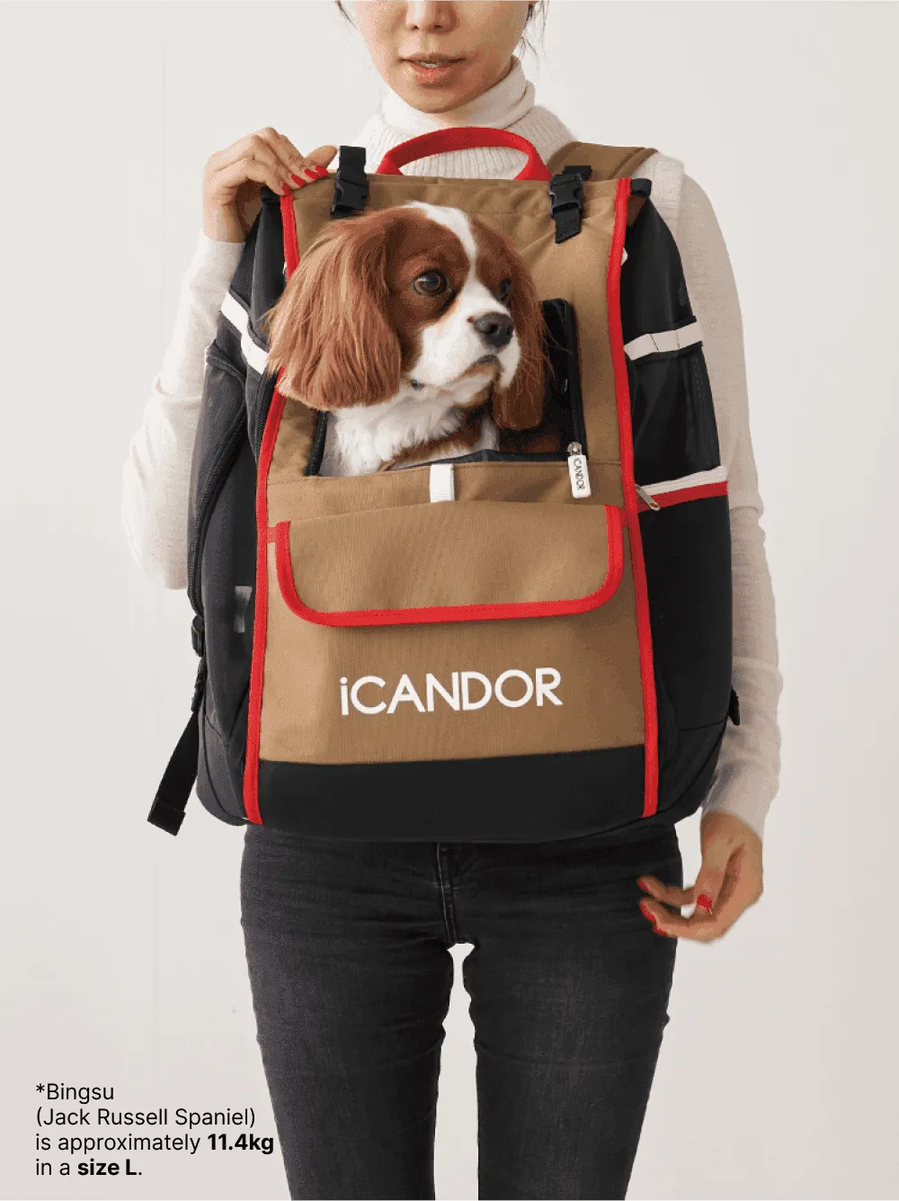 JIGE Bag | Pet Travel Backpack