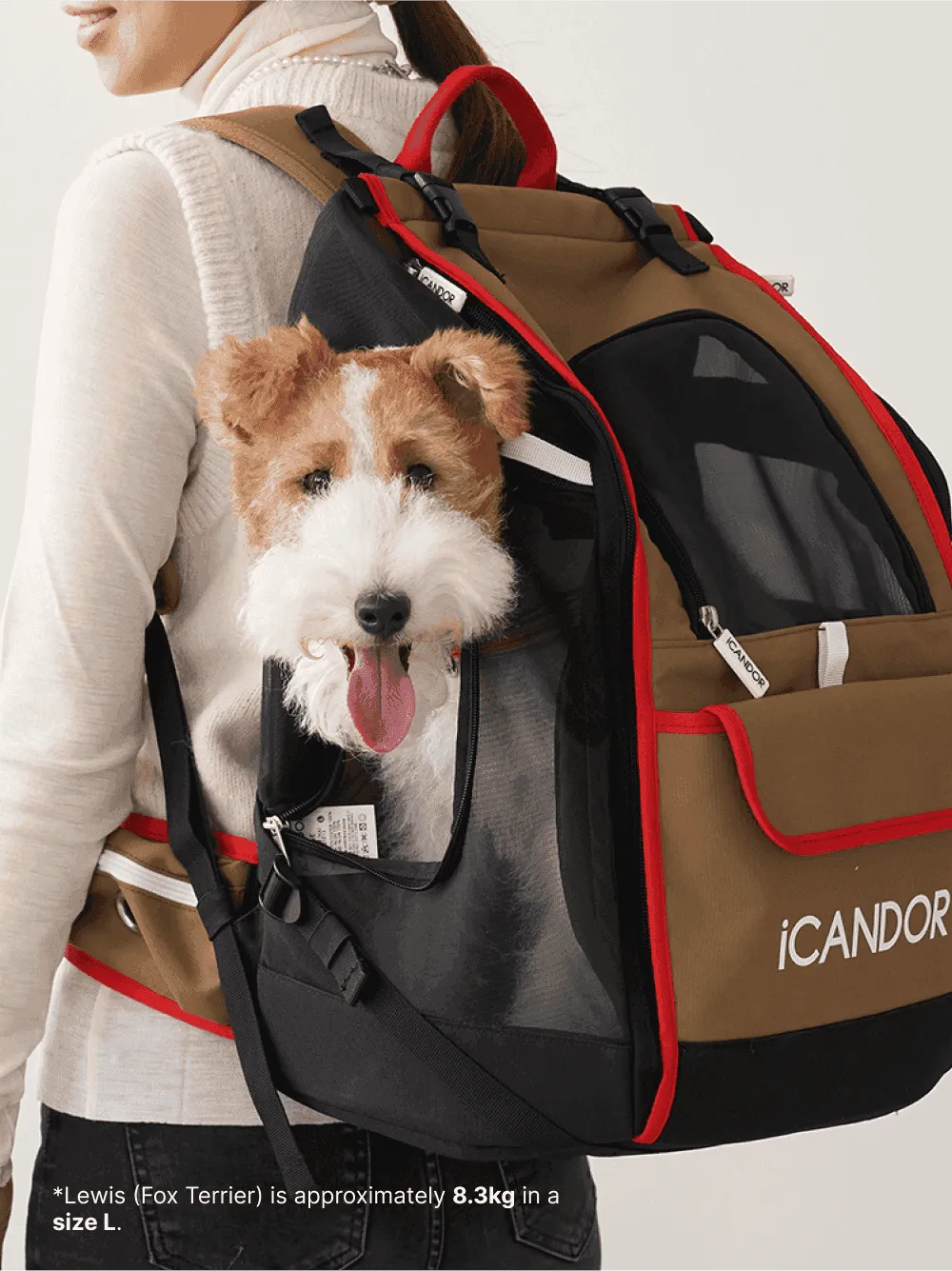 JIGE Bag | Pet Travel Backpack