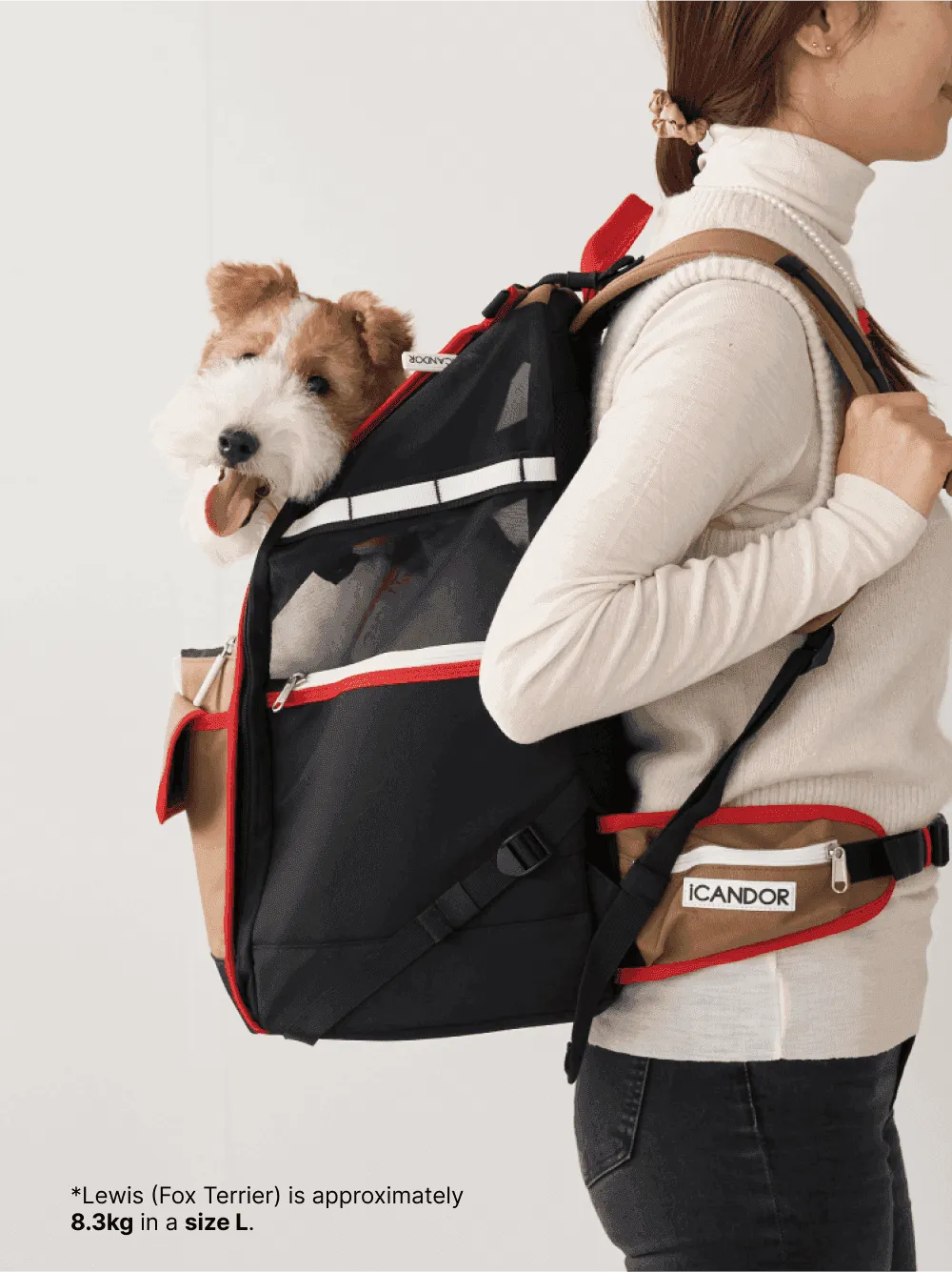 JIGE Bag | Pet Travel Backpack