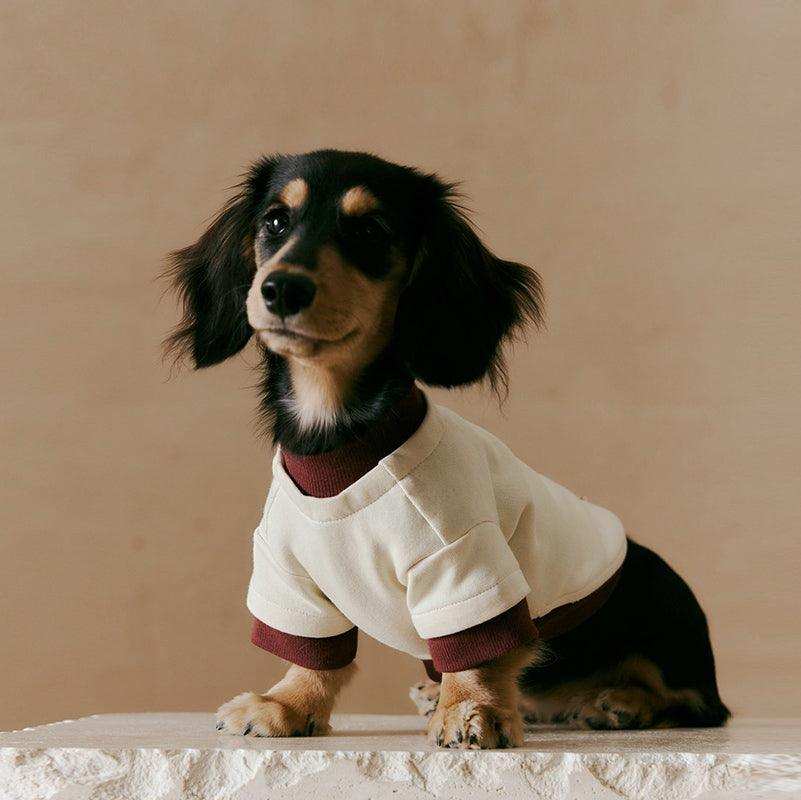 Layered Look Dog Pullover - 2&4 PETS