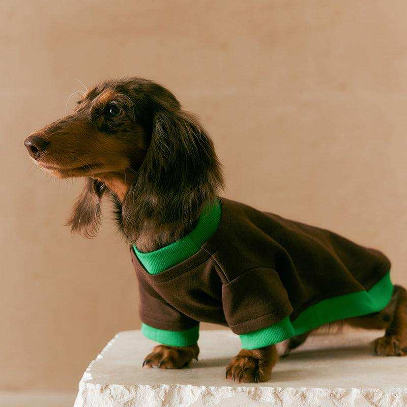 Layered Look Dog Pullover - 2&4 PETS