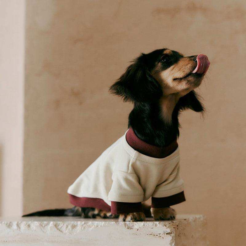 Layered Look Dog Pullover - 2&4 PETS