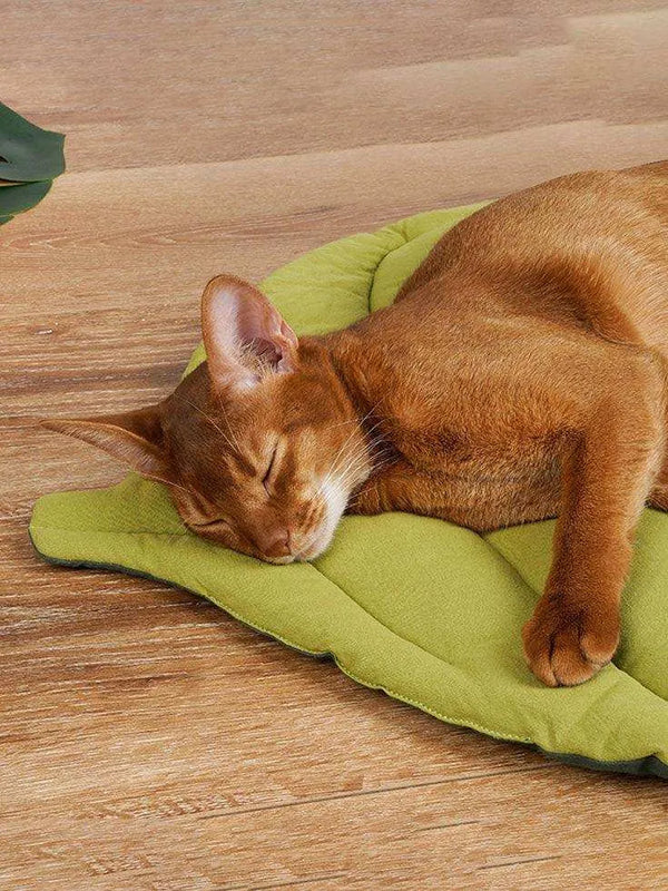 Leaf Shaped Pet Cushion Mat - 2&4 PETS