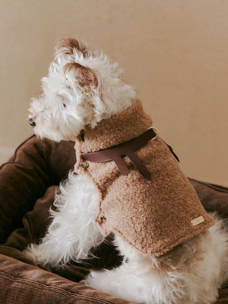 Luxe Lamb Wool Dog Winter Vest - 2&4 PETS