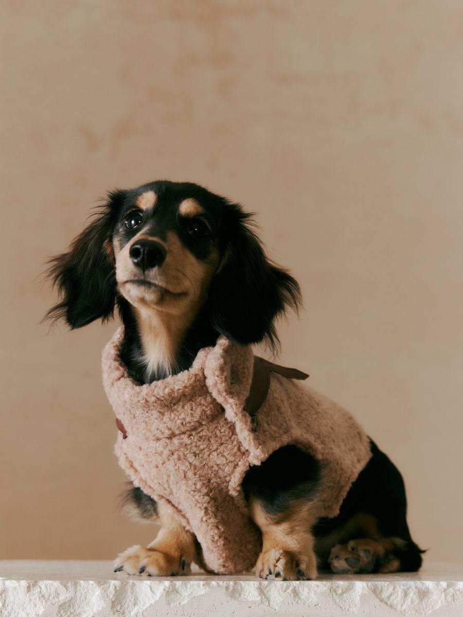 Luxe Lamb Wool Dog Winter Vest - 2&4 PETS