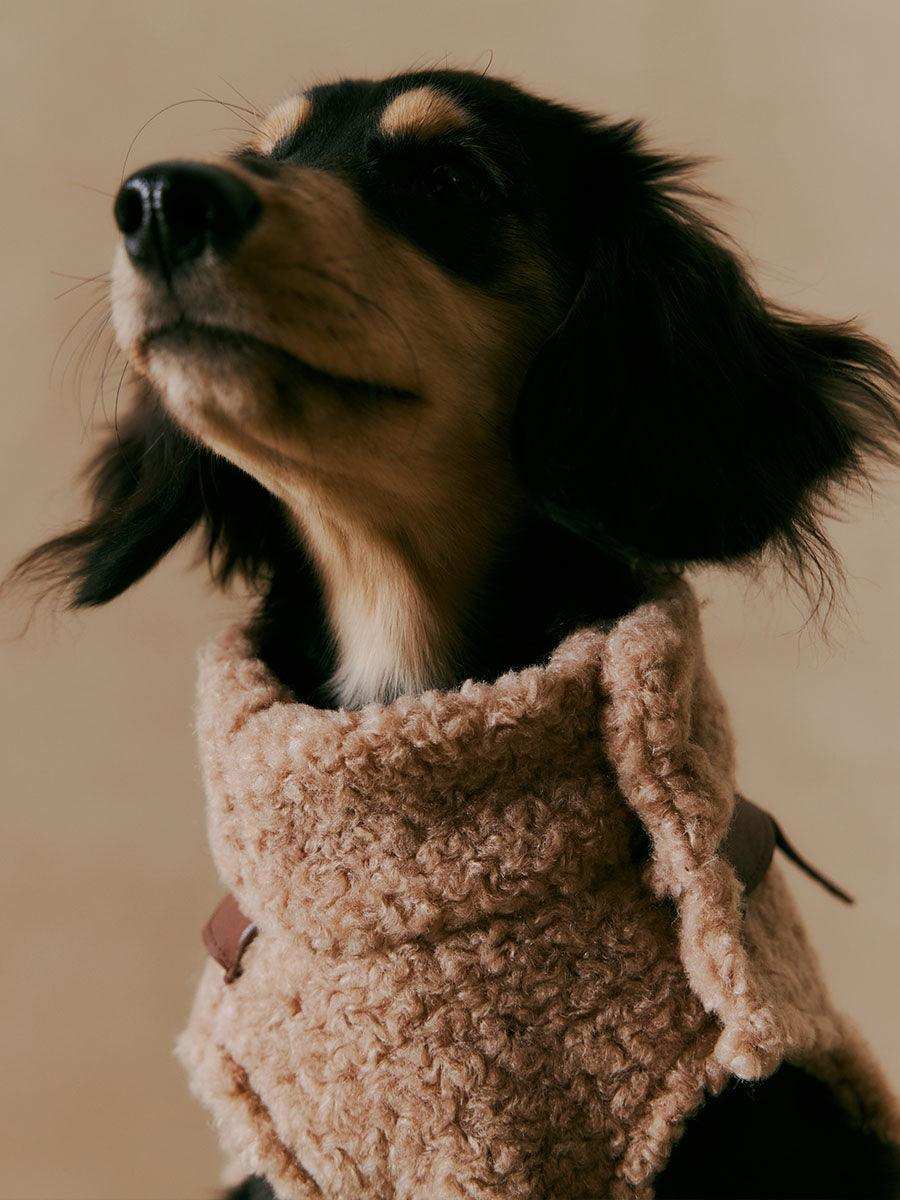 Luxe Lamb Wool Dog Winter Vest - 2&4 PETS