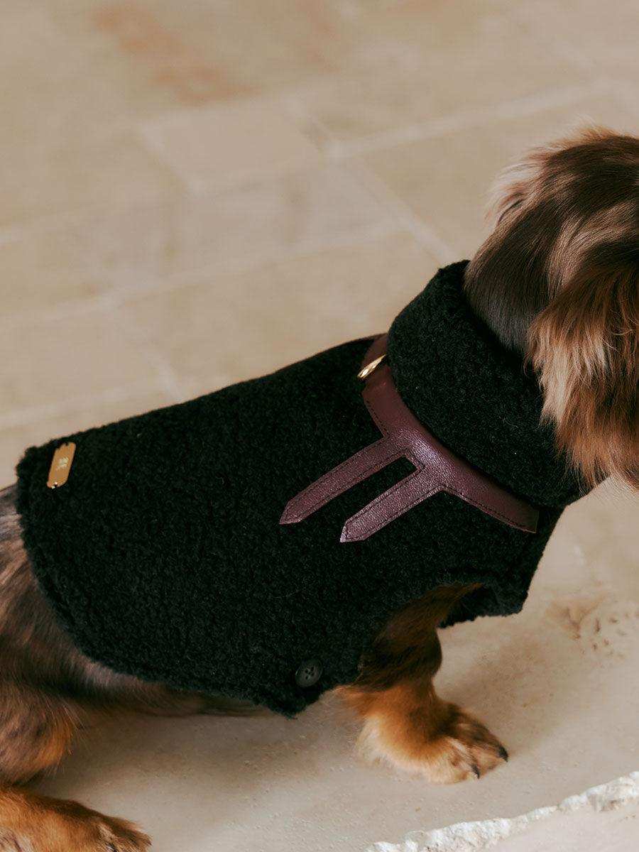 Luxe Lamb Wool Dog Winter Vest - 2&4 PETS