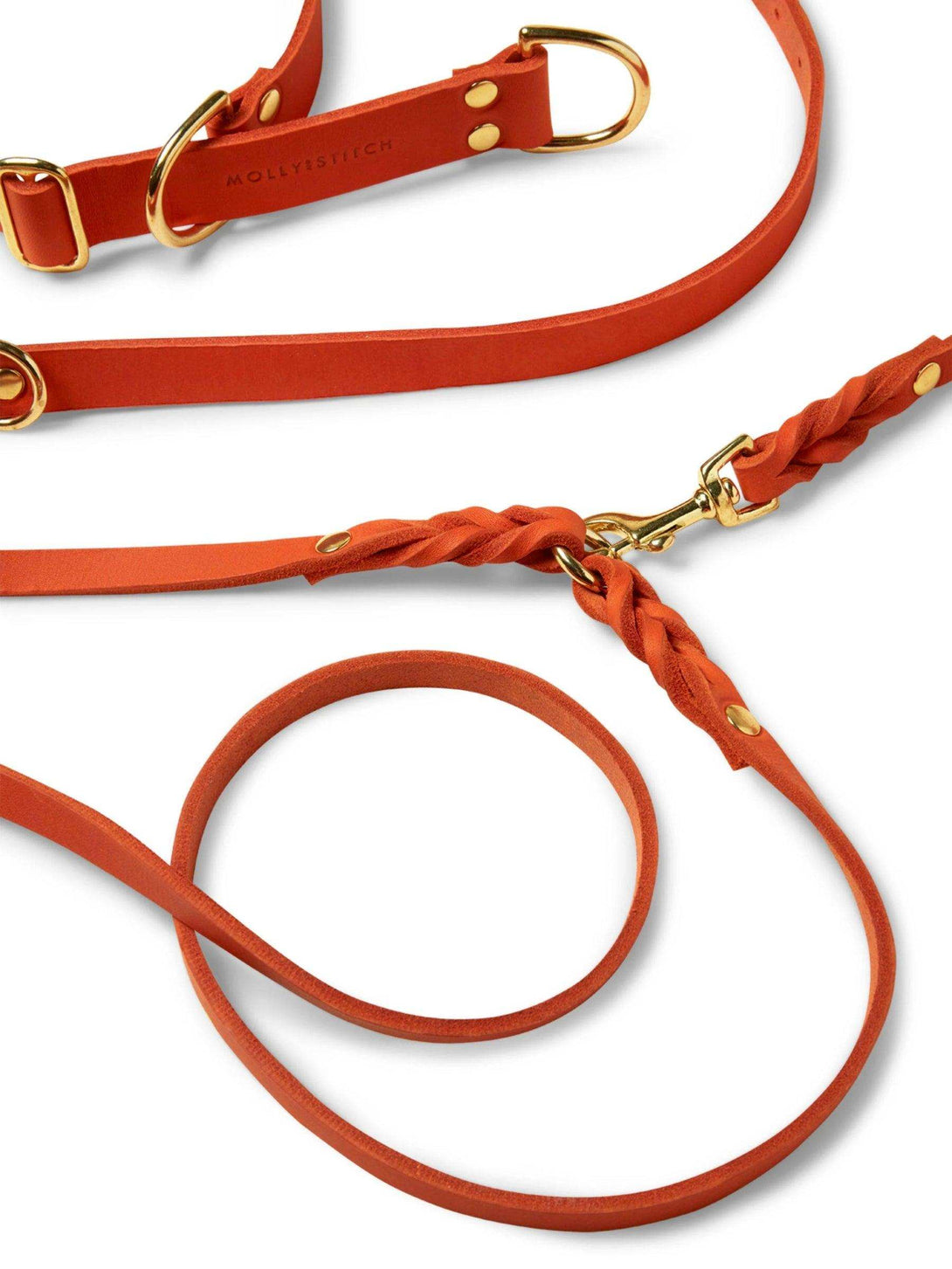 [MANGO] BUTTER LEATHER ADJUSTABLE DOG LEASH - 2&4 PETS