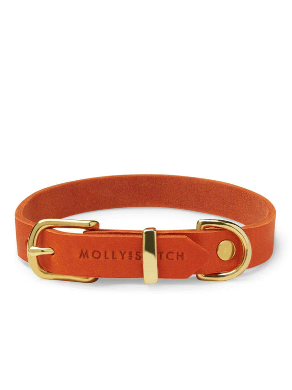 [MANGO] BUTTER LEATHER DOG COLLAR - 2&4 PETS PETS
