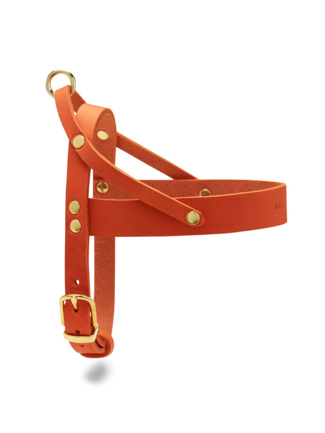 [MANGO] BUTTER LEATHER DOG HARNESS - 2&4 PETS