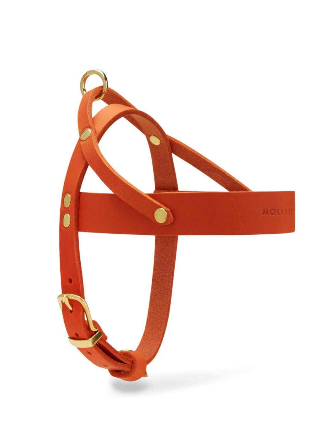 [MANGO] BUTTER LEATHER DOG HARNESS - 2&4 PETS