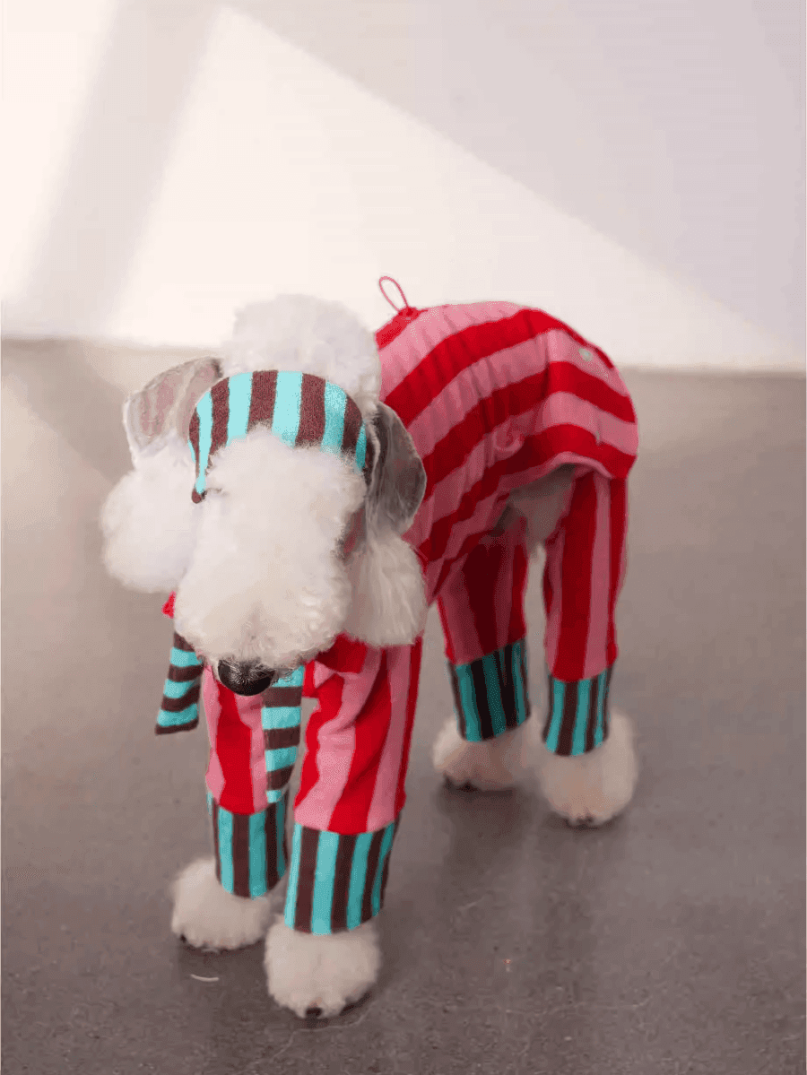 Matching Duo - Striped Cotton Dog Pyjamas