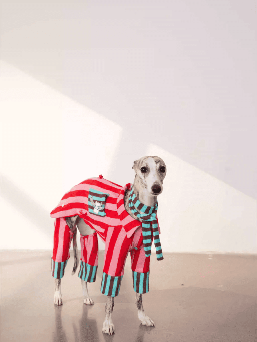 Matching Duo - Striped Cotton Dog Pyjamas