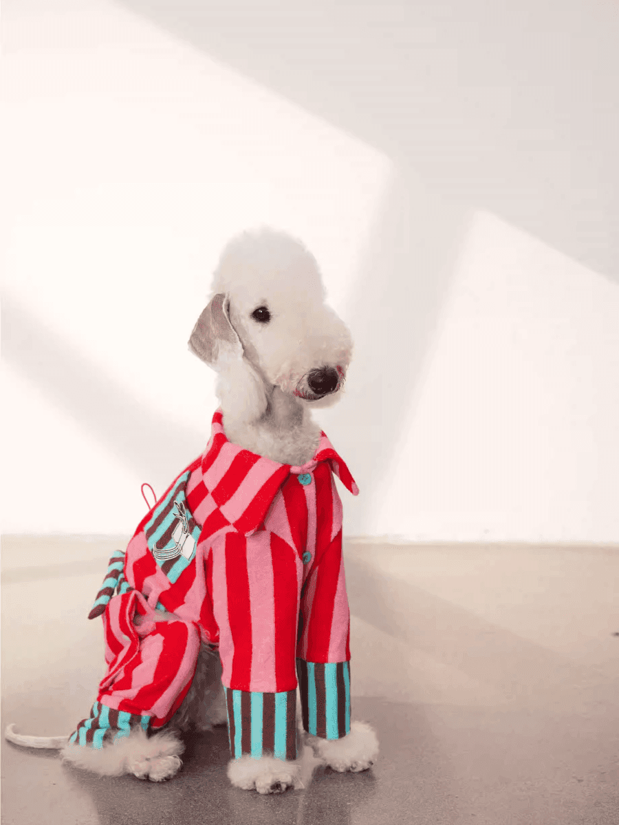 Matching Duo - Striped Cotton Dog Pyjamas