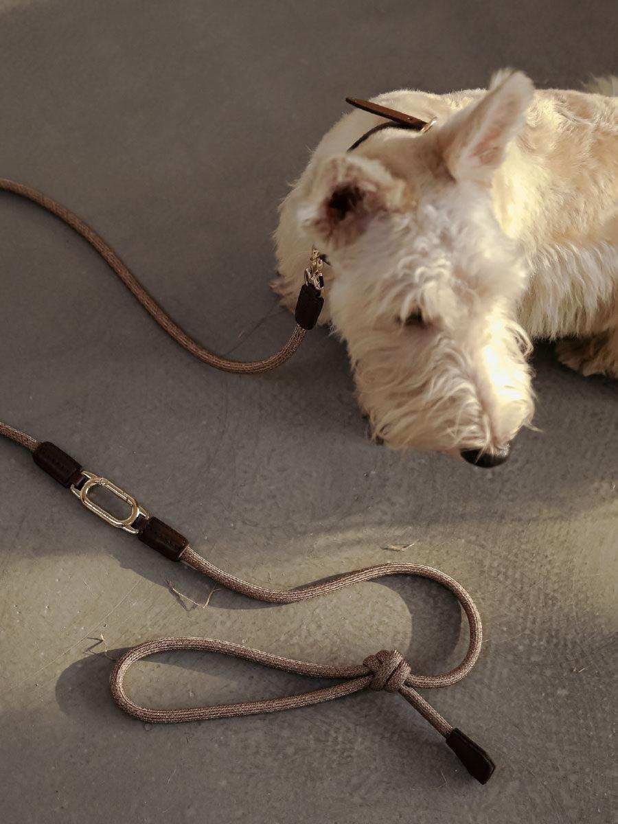 Multifunctional Designer Dog Leash