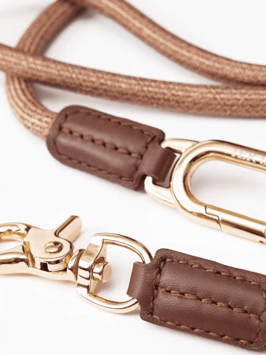 Multifunctional Designer Dog Leash