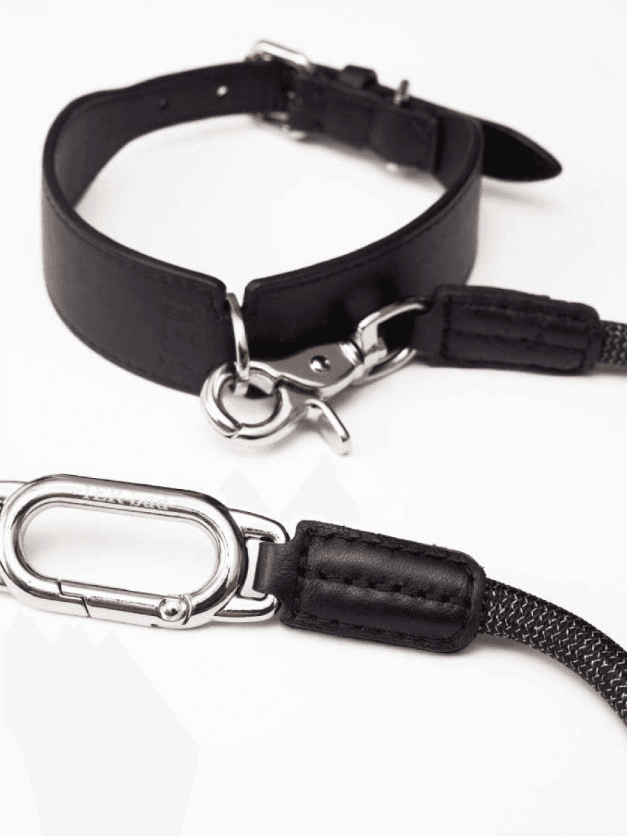 Multifunctional Designer Dog Leash