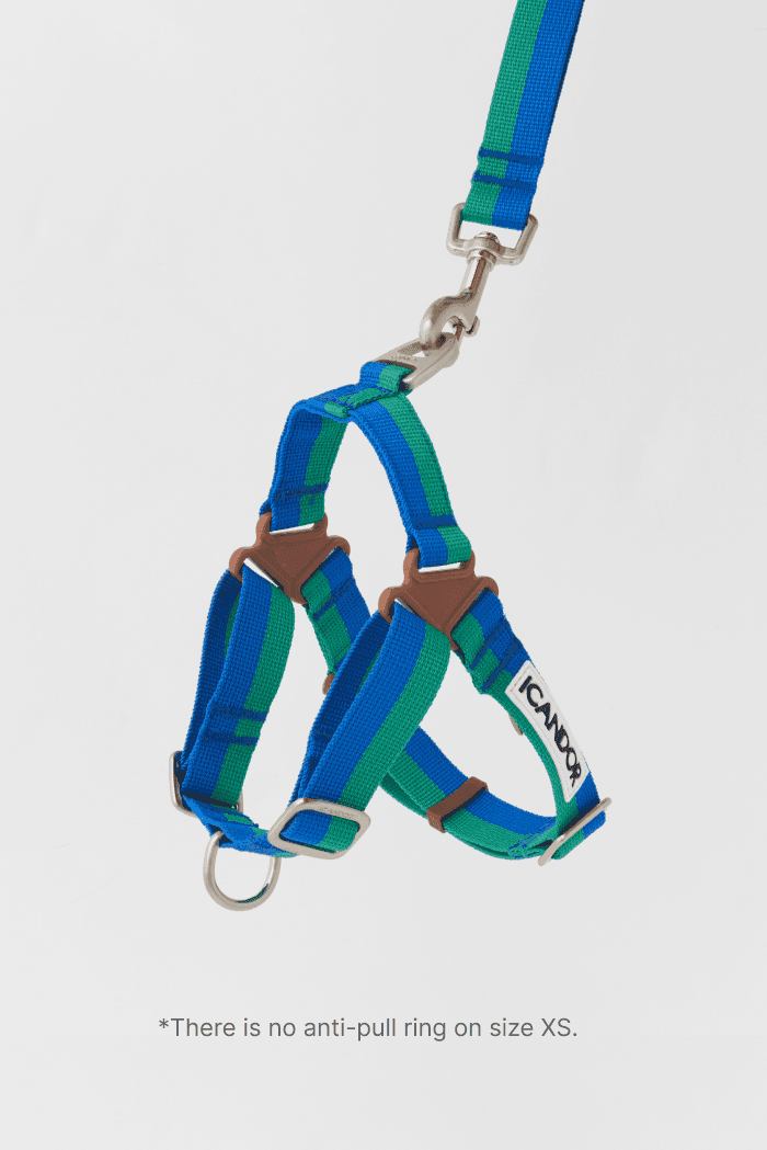 No-Pull Dog Harness