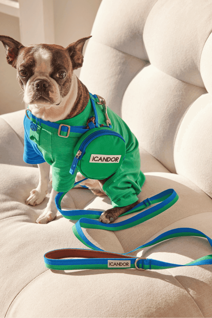 No-Pull Dog Harness